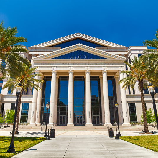 Expert Witness Fees